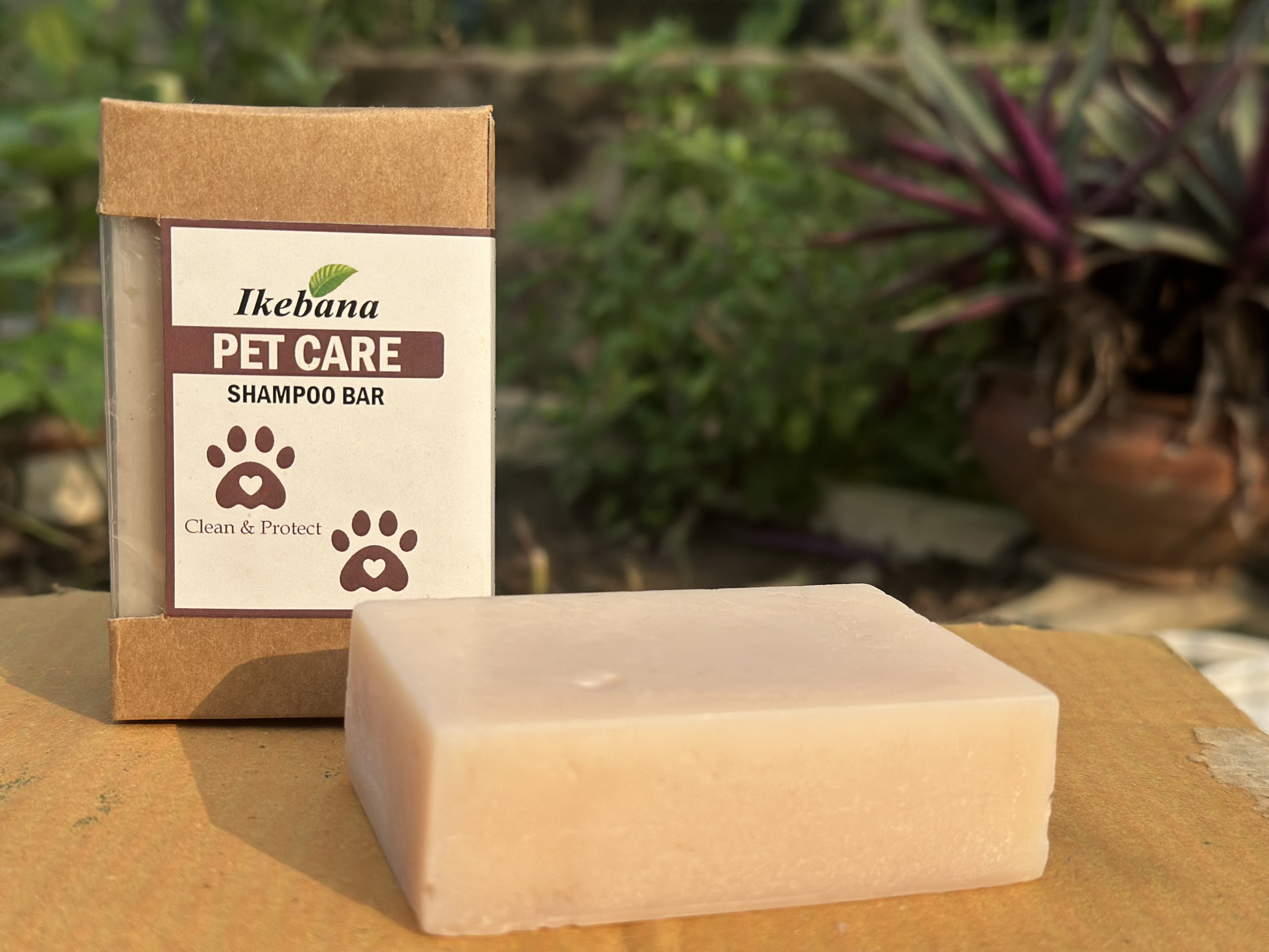 Ikebana Pet Care Shampoo Bar-90 gm