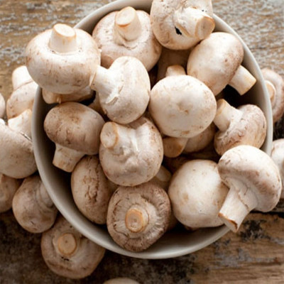 White Button Mushrooms (Agaricus bisporus)